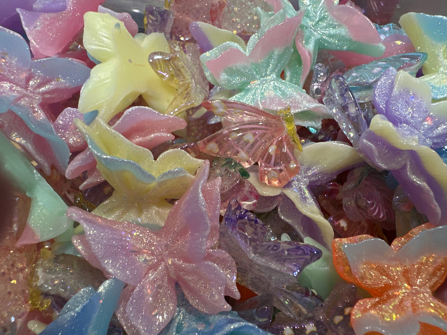 Butterfly 🦋 Garden