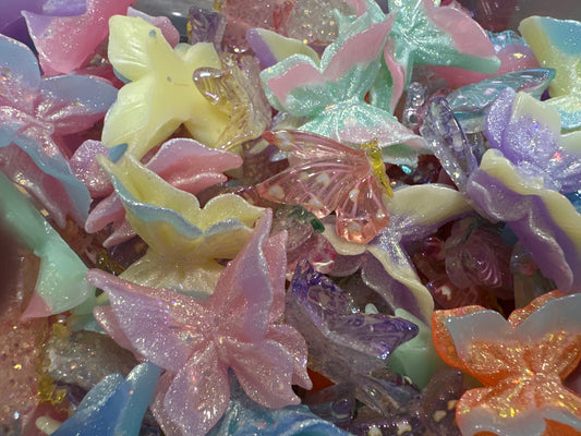 Butterfly 🦋 Garden